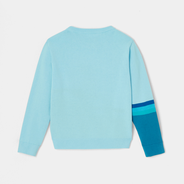 Boy colour block jumper  Boy colour block jumper