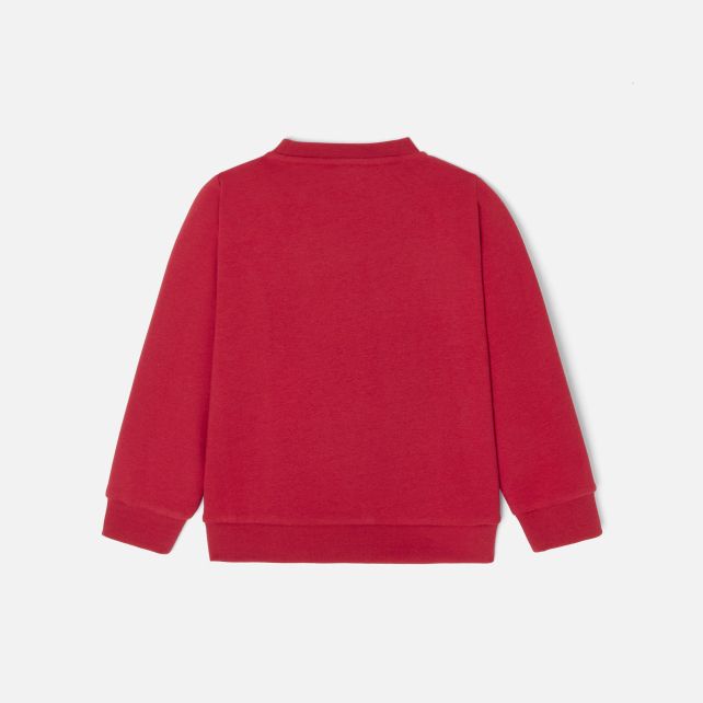 Boy jumper Boy jumper