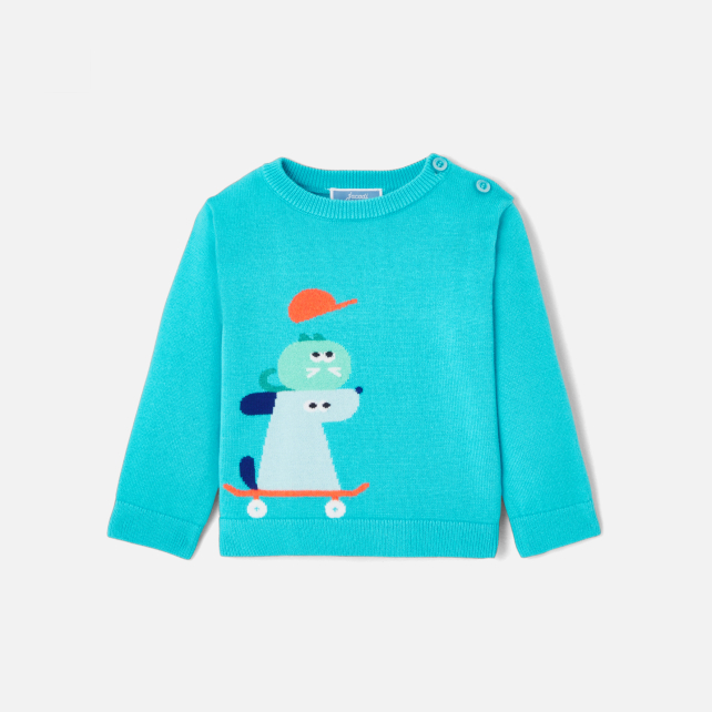 Pull bébé garçon en coton Pull bébé garçon en coton