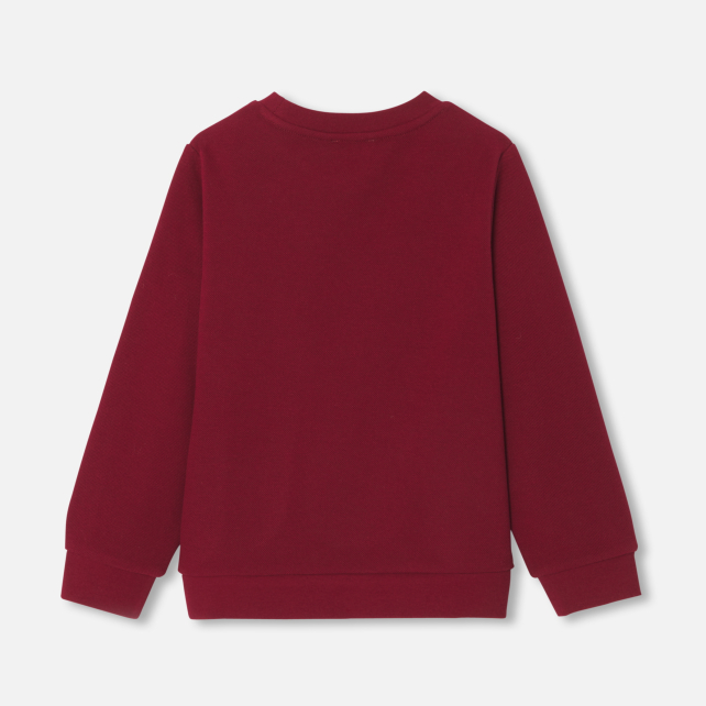 Boy sweatshirt Boy sweatshirt