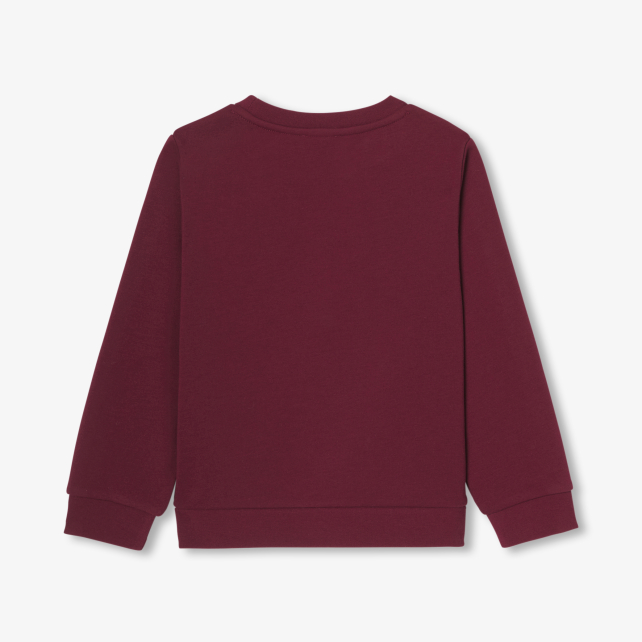 Boy fleece sweatshirt Boy fleece sweatshirt