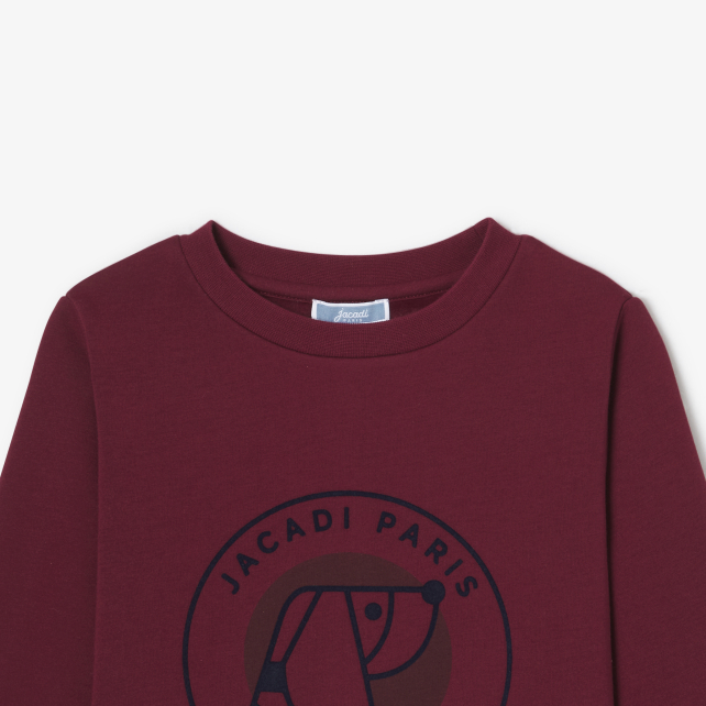 Boy fleece sweatshirt Boy fleece sweatshirt