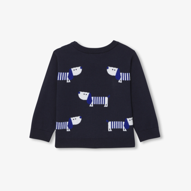 Pull bébé garçon en coton Pull bébé garçon en coton