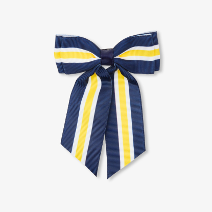 Girl large hair clip