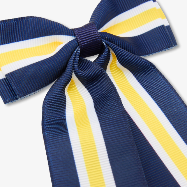 Girl large hair clip 