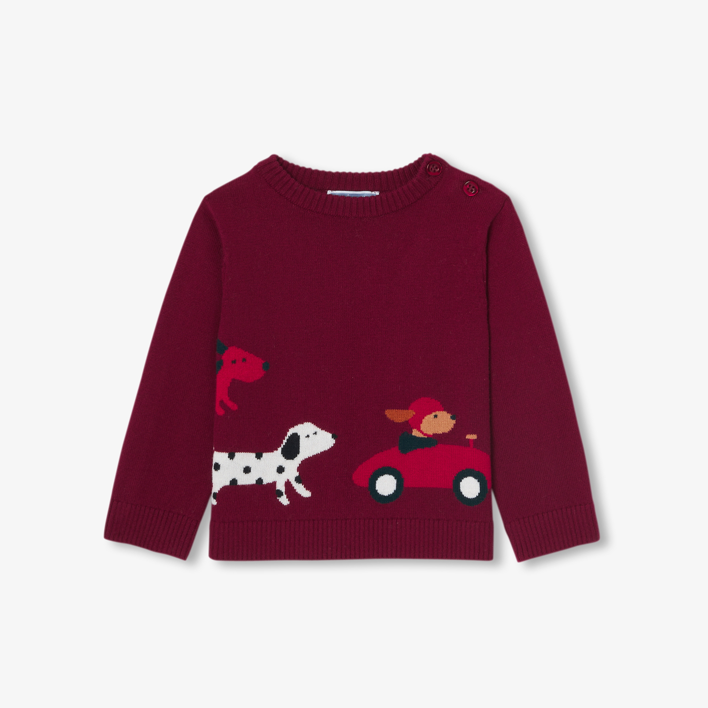 Baby boy cotton sweater