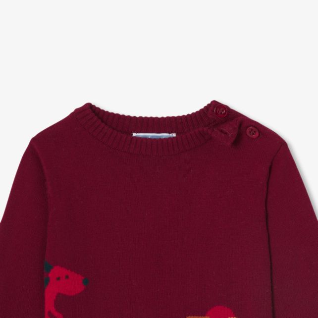 Pull bébé garçon en coton