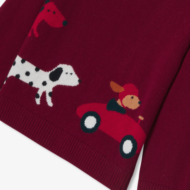 Pull bébé garçon en coton