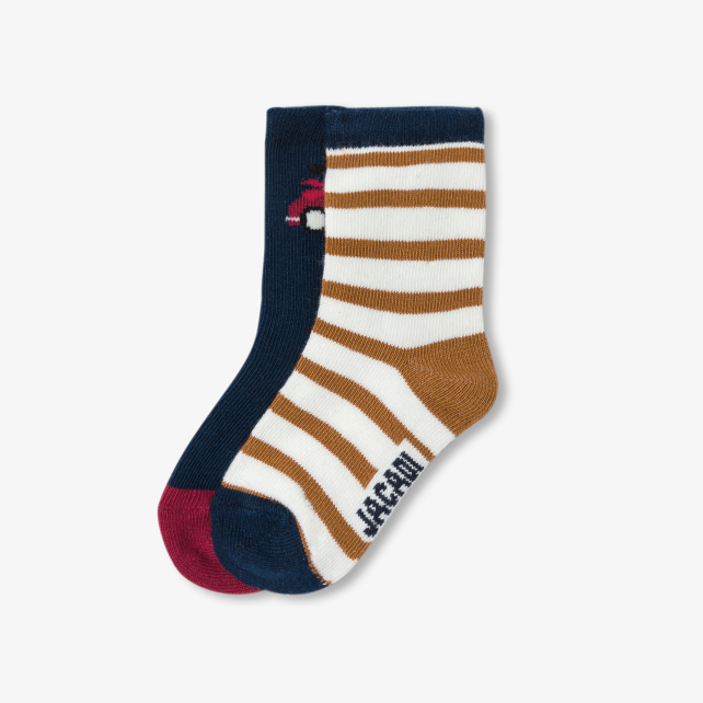 Duo de chaussettes bébé garçon