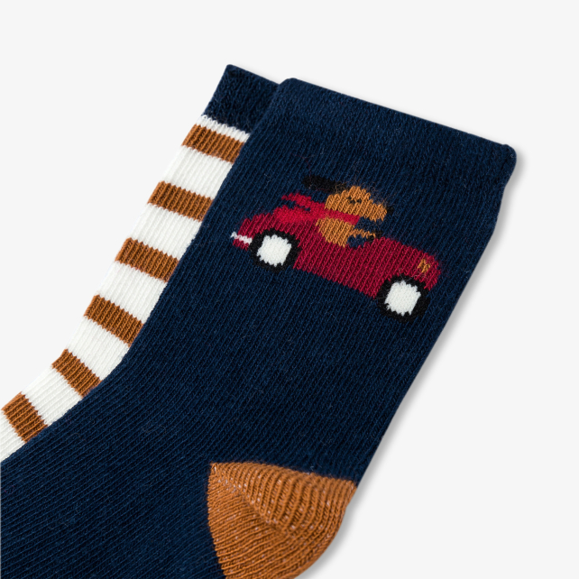 Duo de chaussettes bébé garçon