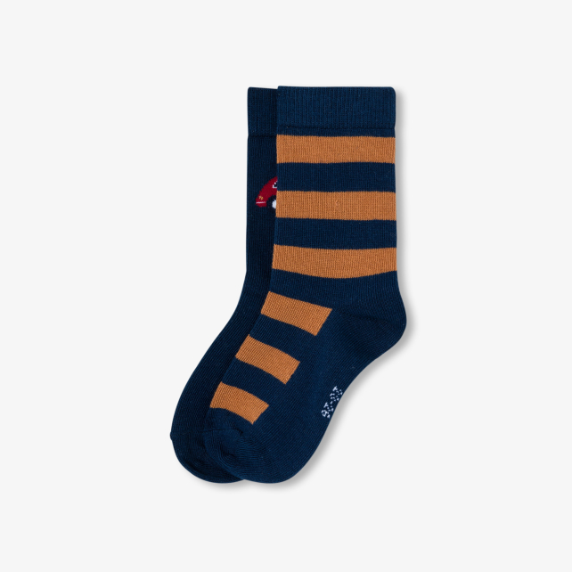 Duo of Boy socks Duo of Boy socks